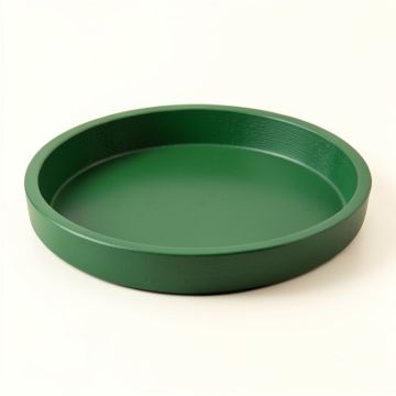 Maple Bridge Serving Tray - Green (synthetic illustration; no displayed measurements)