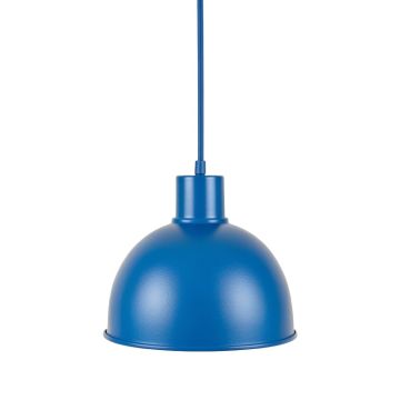 Alder Branch Pendant Light Suspended From One Plain Cable - Blue
