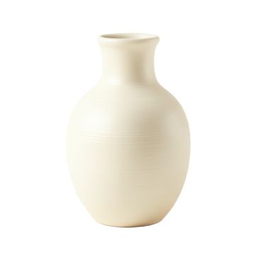 Lake Canyon Empty Decorative Vase - Cream