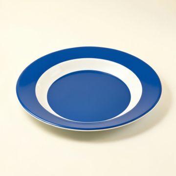 Deeter Melamine Salad Plate (synthetic illustration; no displayed measurements)