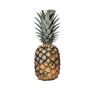 Pineapple 1 Mexican Graphic Art