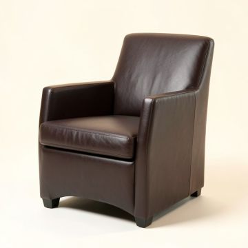 Neymar Upholstered Side Chair In Dark Brown (synthetic illustration; no displayed measurements)