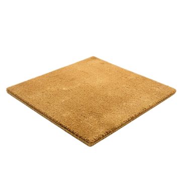 Abeyta Non-Slip Outdoor Door Mat
