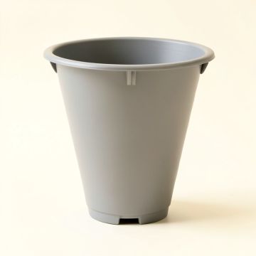 Ridge Arc Empty Railing Planter With Integral Brackets - Gray (synthetic illustration; no displayed measurements)