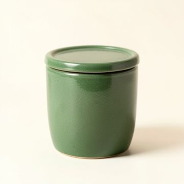 Cove Bluff Storage Canister With Lid - Green (synthetic illustration; no displayed measurements)