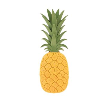 Hagen Pineapple Personalized Standard 3-Line Wall Address Plaque