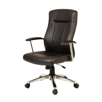 Shapleigh Ergonomic Office Chair