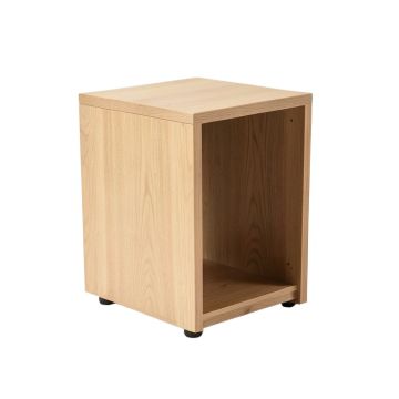 Darius 4 Legs End Table With Storage