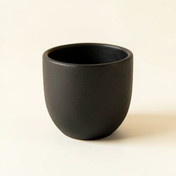 Ash Crossing Empty Candle Holder - Black (synthetic illustration; no displayed measurements)