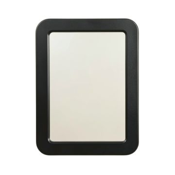 Spruce Branch Framed Wall Mirror - Black