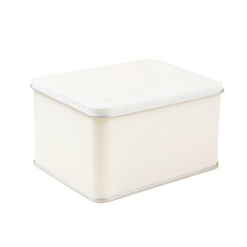 Garrin Tin Bread Box