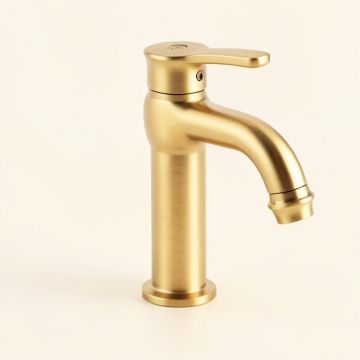Dryden Single Hole Bathroom Faucet With Drain Assembly (synthetic illustration; no displayed measurements)