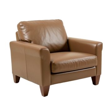 Scalli 79 '' Pillow Top Arm Loveseat