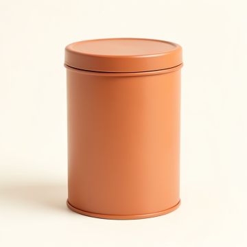 Birch Bend Storage Canister With Lid - Terracotta (synthetic illustration; no displayed measurements)