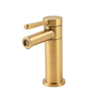 Pamplona Single Hole Bathroom Faucet With Drain Assembly (synthetic illustration; no displayed measurements)