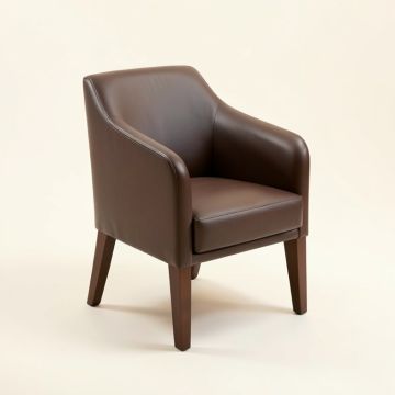 Bridgwater Side Chair (synthetic illustration; no displayed measurements)
