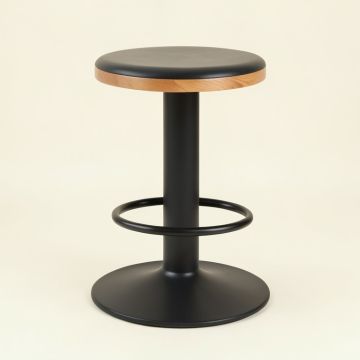 Winterton Adjustable Height Swivel Bar Stool (synthetic illustration; no displayed measurements)