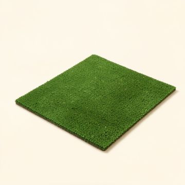 Cordelia Seaturtle Welcome Non-Slip Indoor/Outdoor Door Mat (synthetic illustration; no displayed measurements)