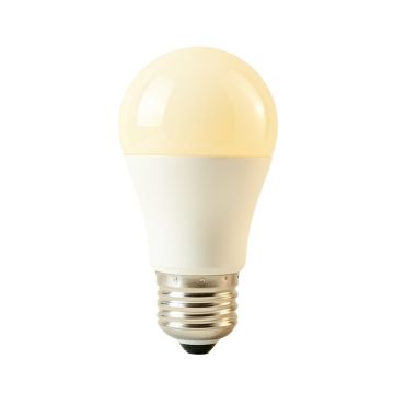 6.5 Watt ( 60 Watt Equivalent )