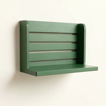 Lake Branch Wall-Mounted Entryway Organizer Shelf - Green (synthetic illustration; no displayed measurements)