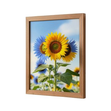 Blue Sunflowers By Richard Wallich - Print On Canvas