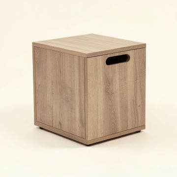 Arwen End Table With Storage (synthetic illustration; no displayed measurements)