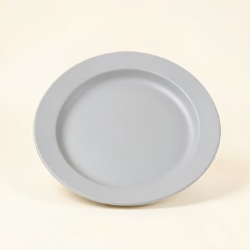 Sighwith 9 '' Melamine Salad Plate (synthetic illustration; no displayed measurements)