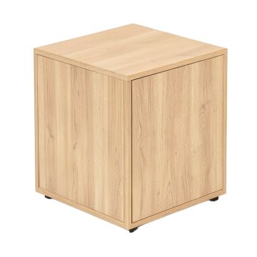 Marinus End Table With Storage (synthetic illustration; no displayed measurements)