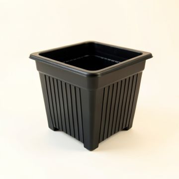 Spruce Bridge Empty Raised Planter - Black (synthetic illustration; no displayed measurements)
