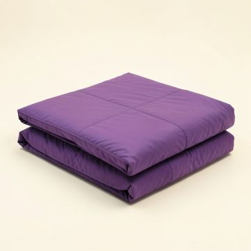Freeburg Purple Duvet Cover Set (synthetic illustration; no displayed measurements)