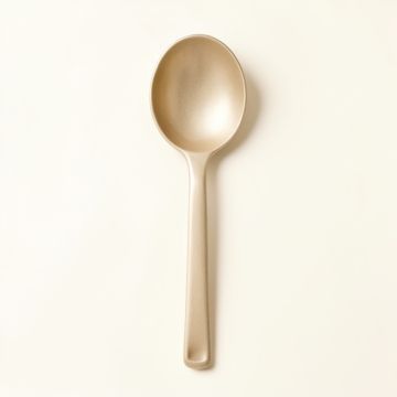 Alder Brook Cooking Spoon - Beige (synthetic illustration; no displayed measurements)