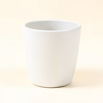 Dawley Clay Pot Planter (synthetic illustration; no displayed measurements)