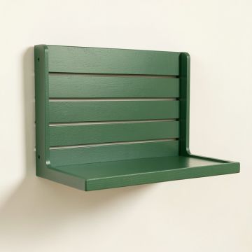 Ridge Crossing Wall-Mounted Entryway Organizer Shelf - Green (synthetic illustration; no displayed measurements)