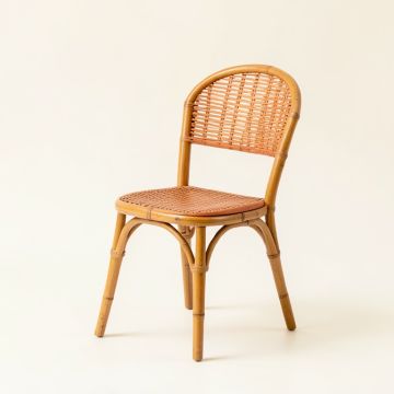 Fern Edge Dining Chair - Terracotta (synthetic illustration; no displayed measurements)