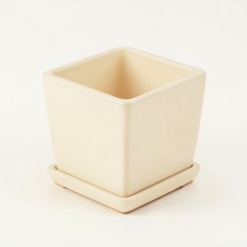 Meadow Brook Empty Planter - Cream (synthetic illustration; no displayed measurements)