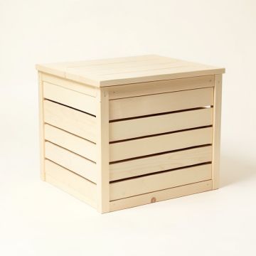Briar Bluff Closed Outdoor Storage Box - Ivory (synthetic illustration; no displayed measurements)