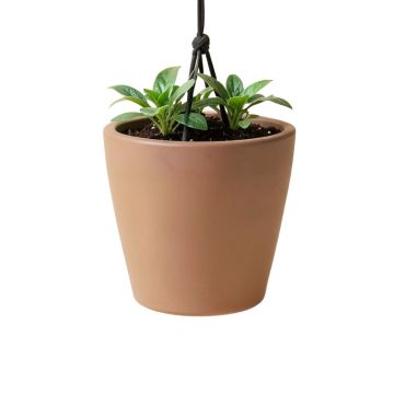 Pollyanna Self-Watering Resin Hanging Planter