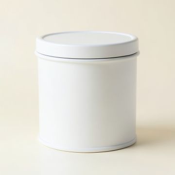 Aspen Branch Storage Canister With Lid - White (synthetic illustration; no displayed measurements)