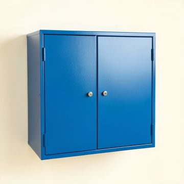 Ridge Bridge Wall-Mounted Entry Cabinet - Blue (synthetic illustration; no displayed measurements)