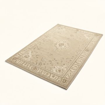 Brandt Oriental Beige Rug (synthetic illustration; no displayed measurements)