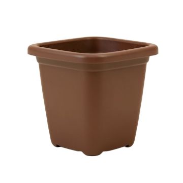 Paquette Self-Watering Plastic Elevated Planter