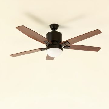 50 '' Lapa 4 - Blade Ceiling Fan (synthetic illustration; no displayed measurements)
