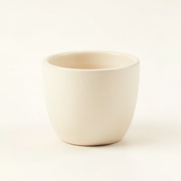 Reed Arc Empty Candle Holder - Cream (synthetic illustration; no displayed measurements)