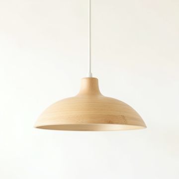 Brook Crossing Pendant Light Suspended From One Plain Cable - Beige (synthetic illustration; no displayed measurements)