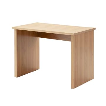 Shanitaortia Writing Desk