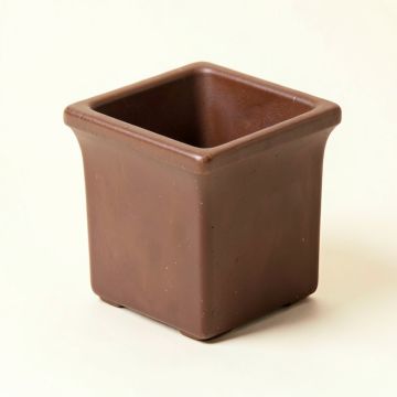 Glenna Barkwood Square On Twig Stand Pot Planter (synthetic illustration; no displayed measurements)