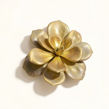 Polystone Succulent Wall Décor (synthetic illustration; no displayed measurements)