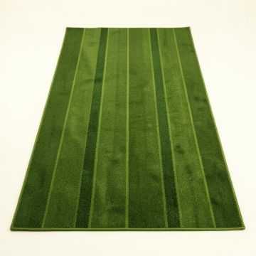 Summit Arc Rectangular Area Rug - Green (synthetic illustration; no displayed measurements)