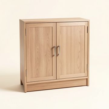 Holli 2 Door Accent Cabinet (synthetic illustration; no displayed measurements)