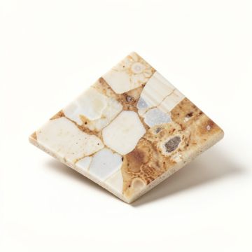 0.5 '' X 1 '' Seashell Mosaic Tile In Natural (synthetic illustration; no displayed measurements)